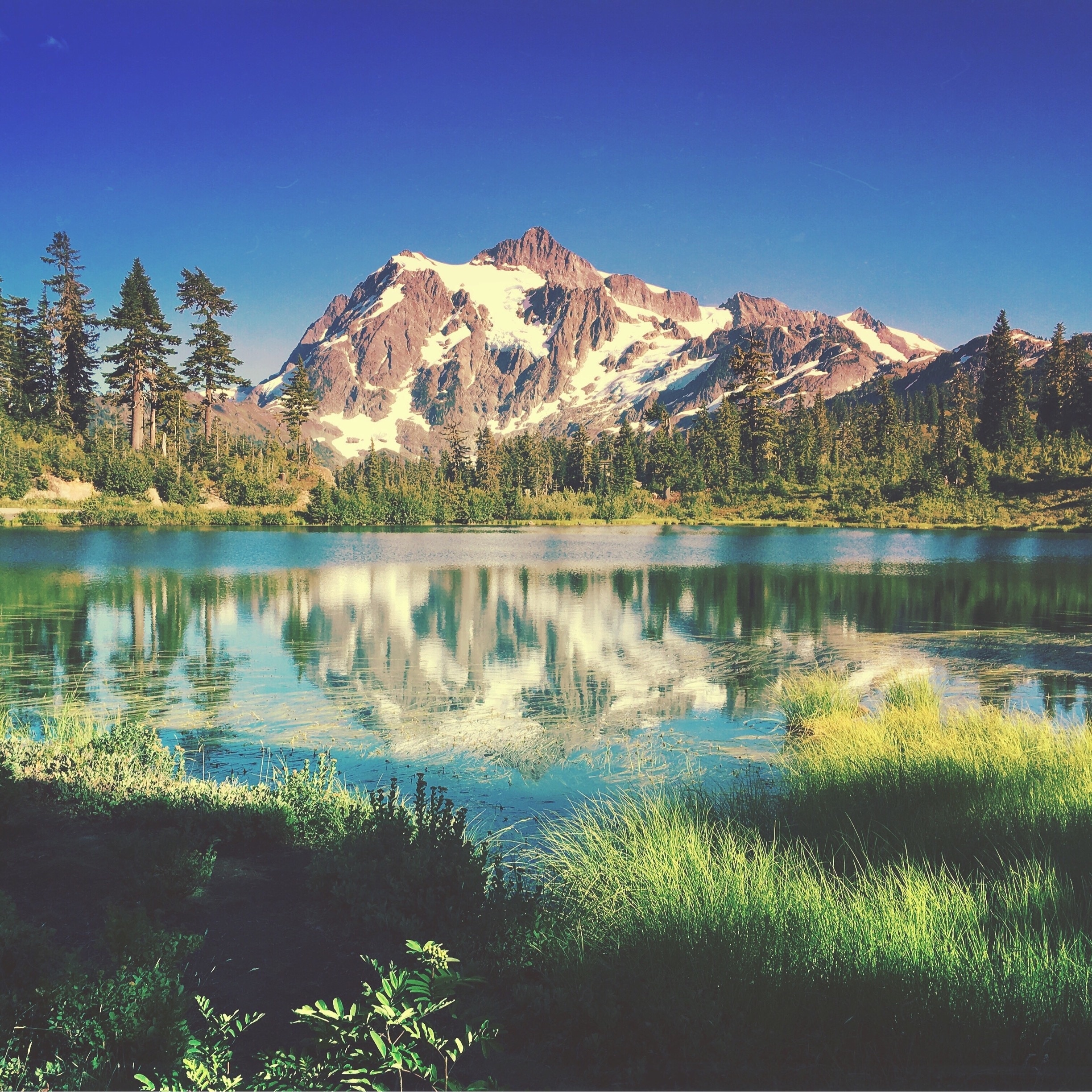 Top 20 Mount Baker Ski Area pet friendly vacation rentals Vrbo