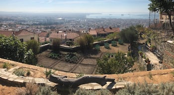 Breathtaking view of Thessaloniki from above.