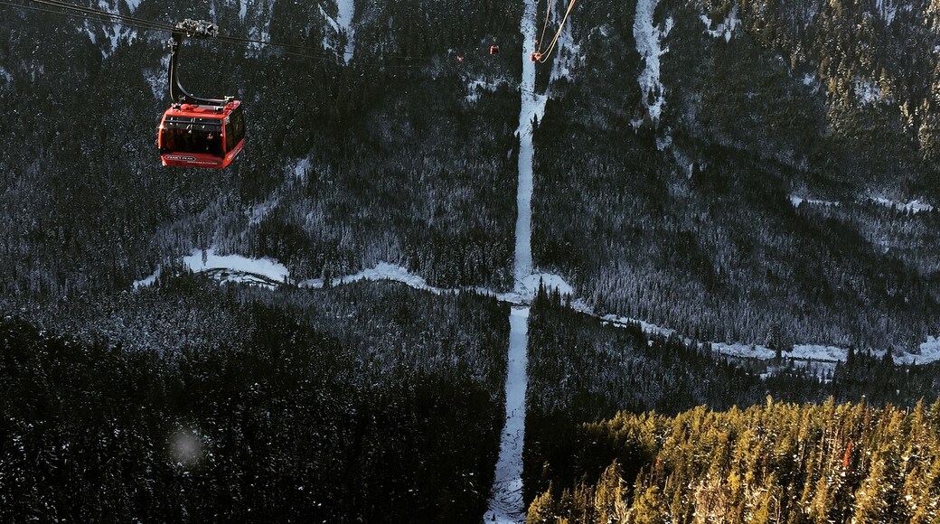 Peak 2 Peak Gondola Blackcomb Ski Lift, Whistler, British Columbia, Canada