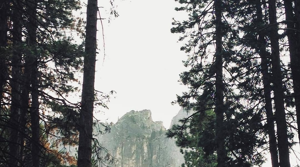 Yosemite Visitor Center, Yosemite National Park, California, United States of America