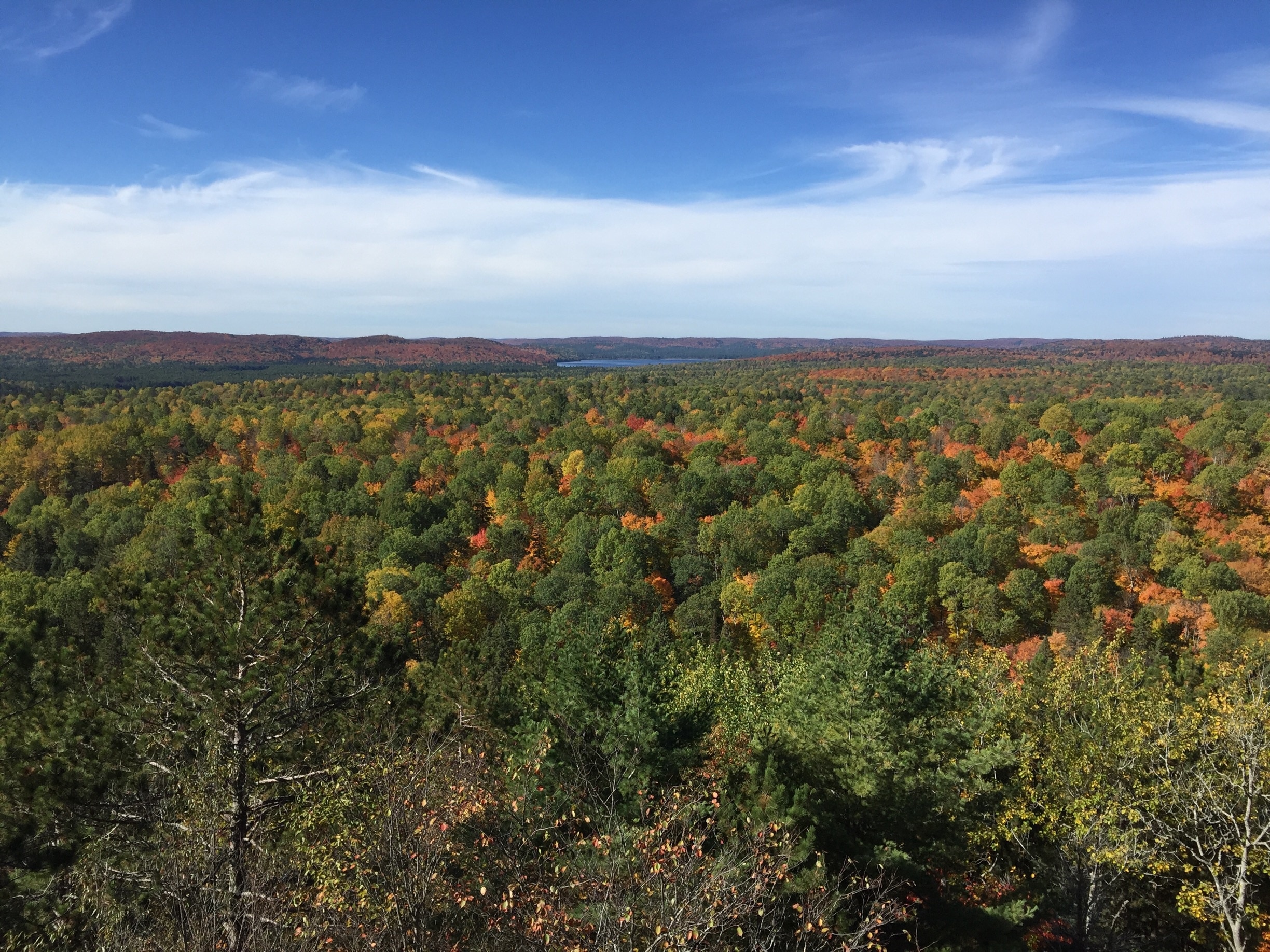 Visitez Parc Algonquin le meilleur à Parc Algonquin, Ontario en 2021 Tourisme Expedia