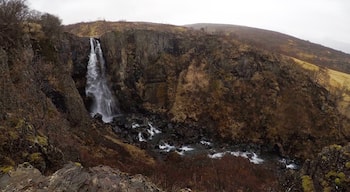 Discovering waterfalls on hikes 