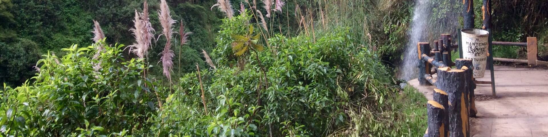 The path to the waterfall