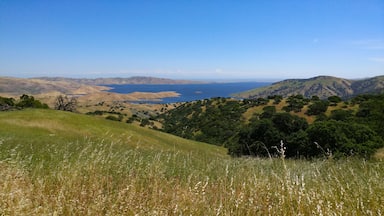 Within the first mile of the Dinosaur Lake Trail, you get this phenomenal view of the San Luis Reservoir.