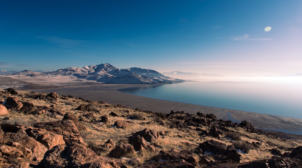 Photo by Gleb Lapham