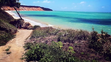 The broken car beach is one of the most gorgeous one in Alagoas/Brazil 
The features of several shades of turquoise are hypinotic 