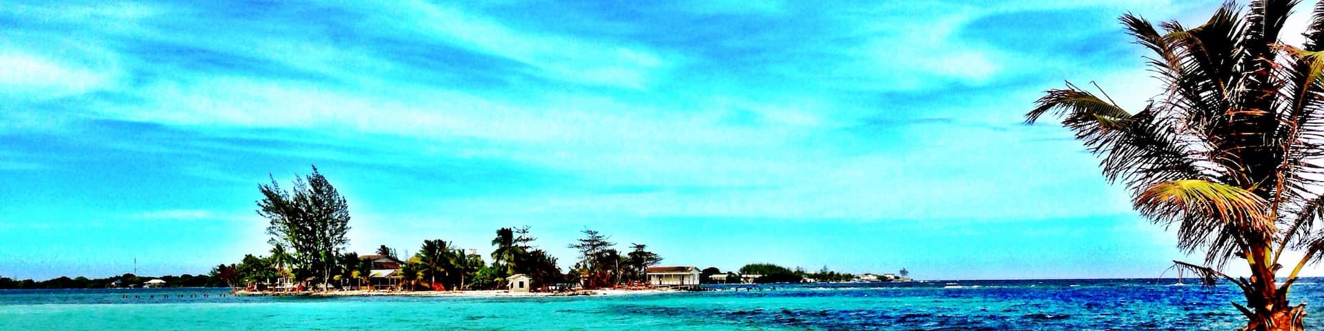 Pay a local $20 to boat you over to an isolated cay where on both sides of the island you can walk out in shallow white sand waters and snorkel the reef in between! The Island is less than a mile long and there is nothing on it but sand, Palm Trees and a hammock or two! Bring snacks and drinks! #honduras #watercay #utilaisland #snorkel #scubadive