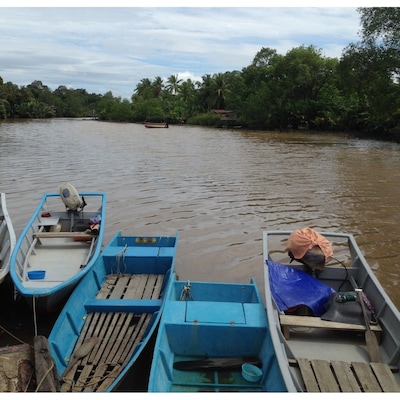 Feeling adventurous? Take a boat and explore the riverine or the sandy beaches around this place.