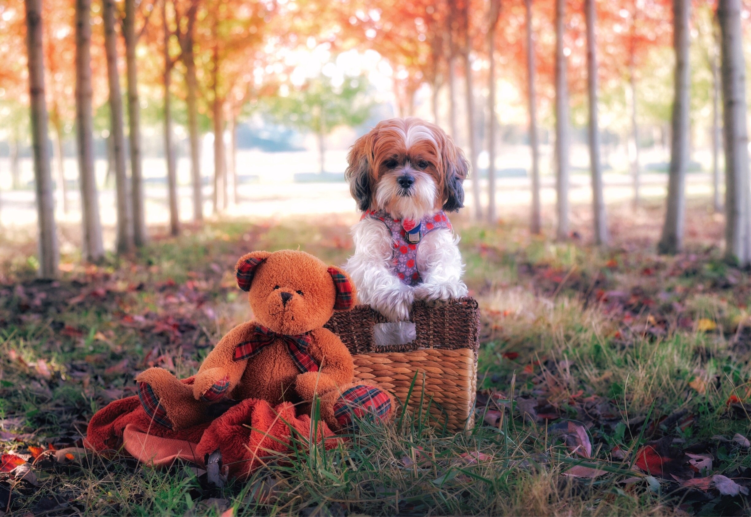 ニューカッスル観光ガイド 定番人気スポットを参考に自分にピッタリの観光プランを立てよう エクスペディア