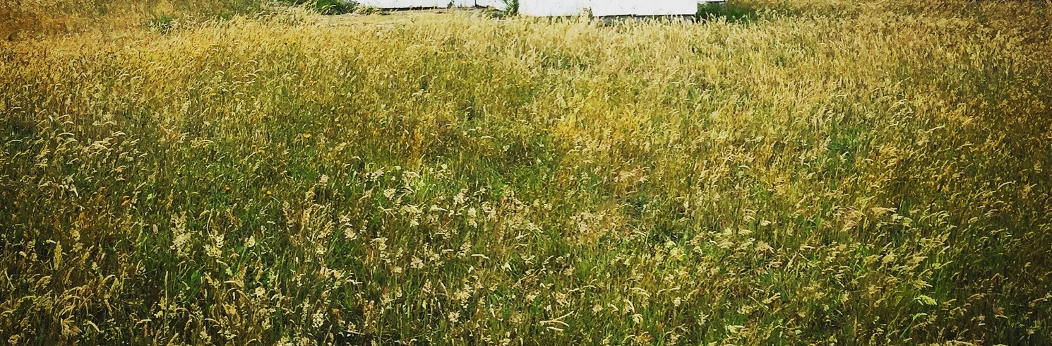 Лурана, Тасманія, Австралія