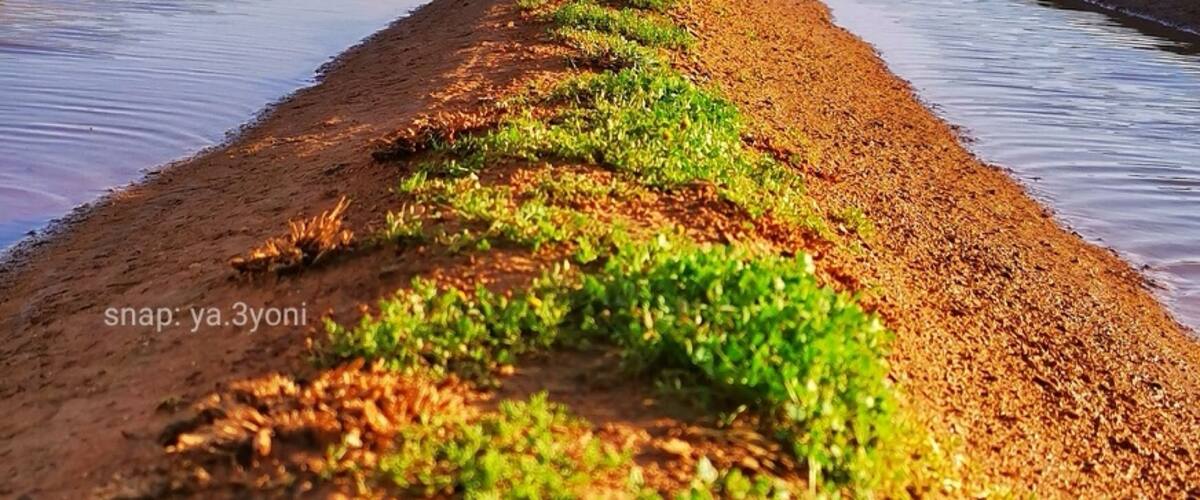 North of saudi Arabia