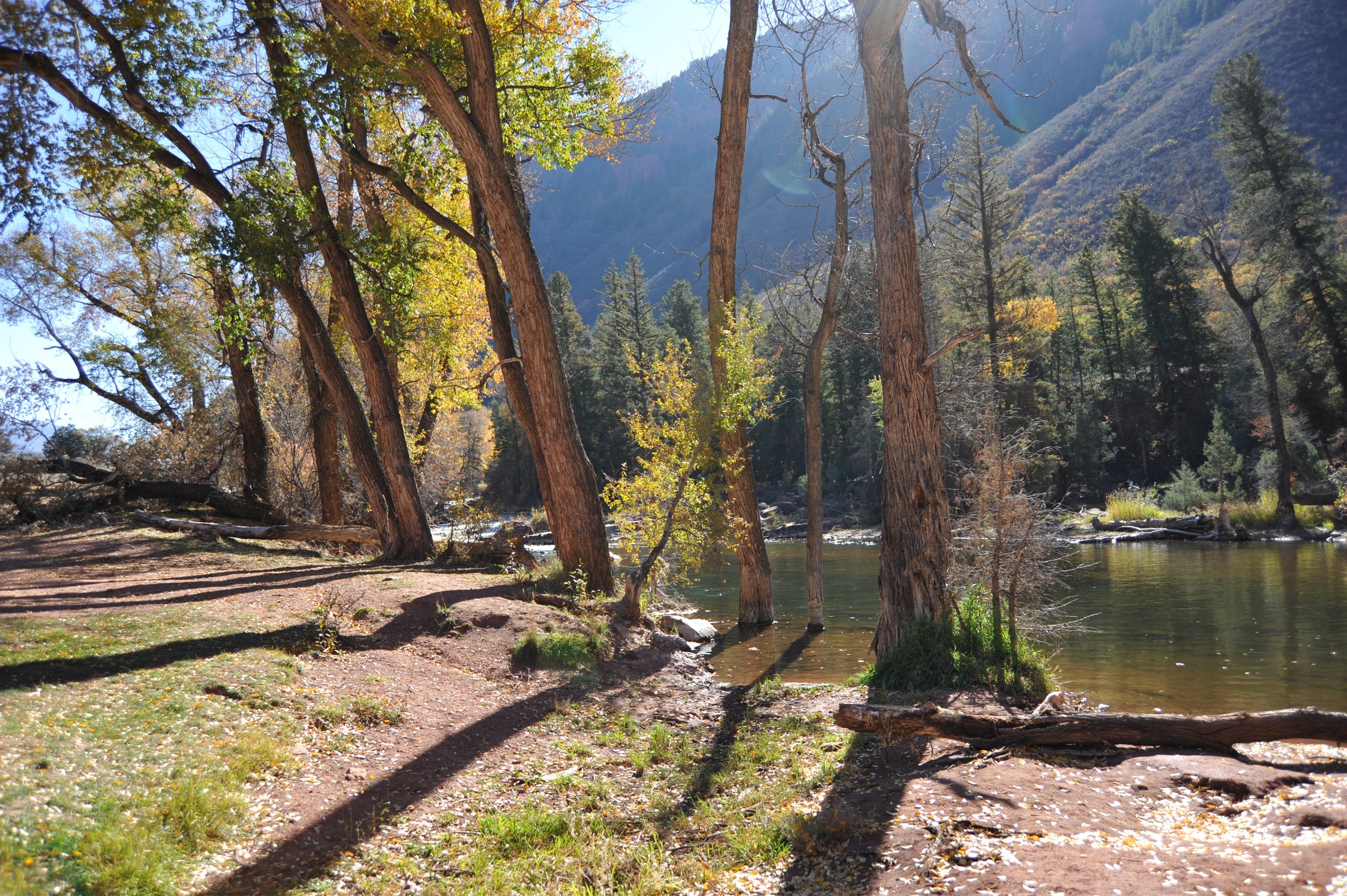 Visit Basalt: 2022 Travel Guide for Basalt, Colorado  Expedia