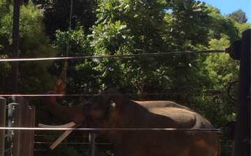 メルボルン動物園 パークビル旅行 エクスペディア メルボルン動物園 パークビル旅行 エクスペディア