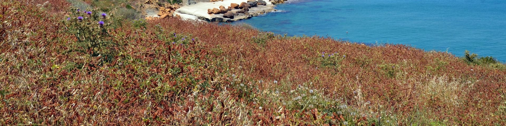 A beautiful yet slightly trecherous walk from Marsalforn to Ramla Bay reveals many sceenic views along the coastline