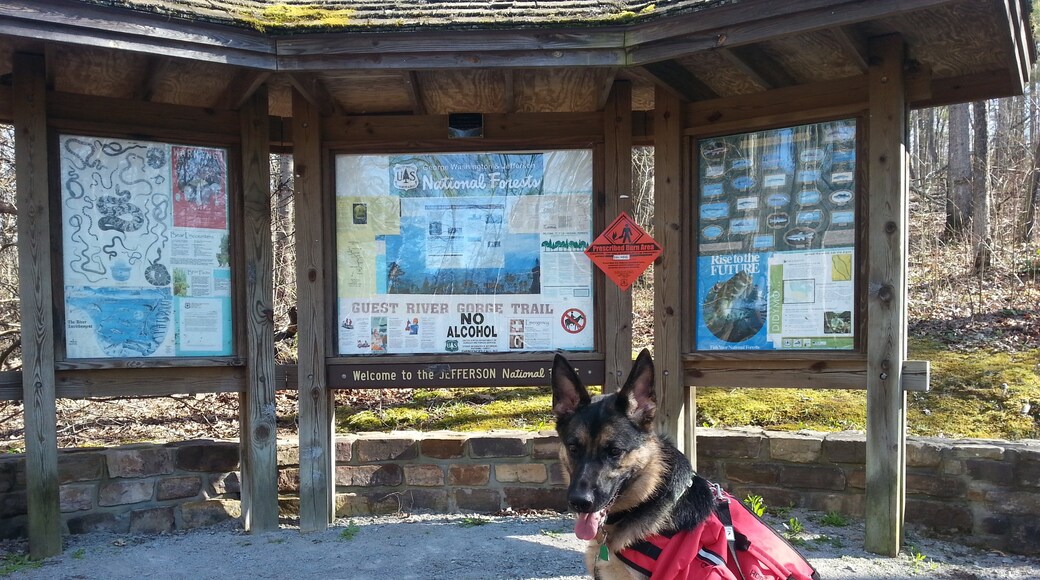 Foto por Michele Wallace