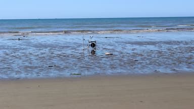 An exercise bike reveals itself at low tide on Pohara Beach. Resistance training Kiwi-style? #LifeAtExpedia
