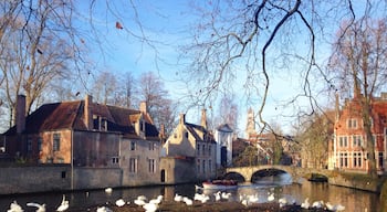 Brugge is known as "Venice of Belgium," and the canal tours are a lovely way to see the renaissance architecture on a sunny afternoon. 