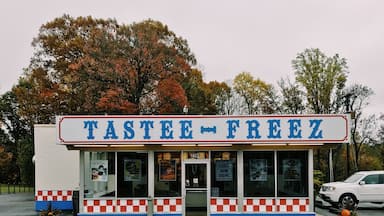 Tastes Freez is a spot that my mother used to take me too when I was child. I stumbled upon one on the way back from a camping trip in the Shenandoah. I was so in shock, that I think I ordered one of everything on the menu. If you ever come across one - a double cheeseburger with a milkshake will make you smile. 