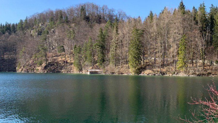 Großer Alpsee -järvi