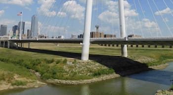View of Trinity Bridge from the Overlook Pass
Aug 2018 - Dallas, TX 
Nikon B500
