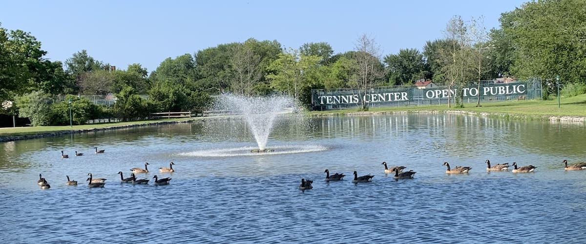 just tranquility and rest