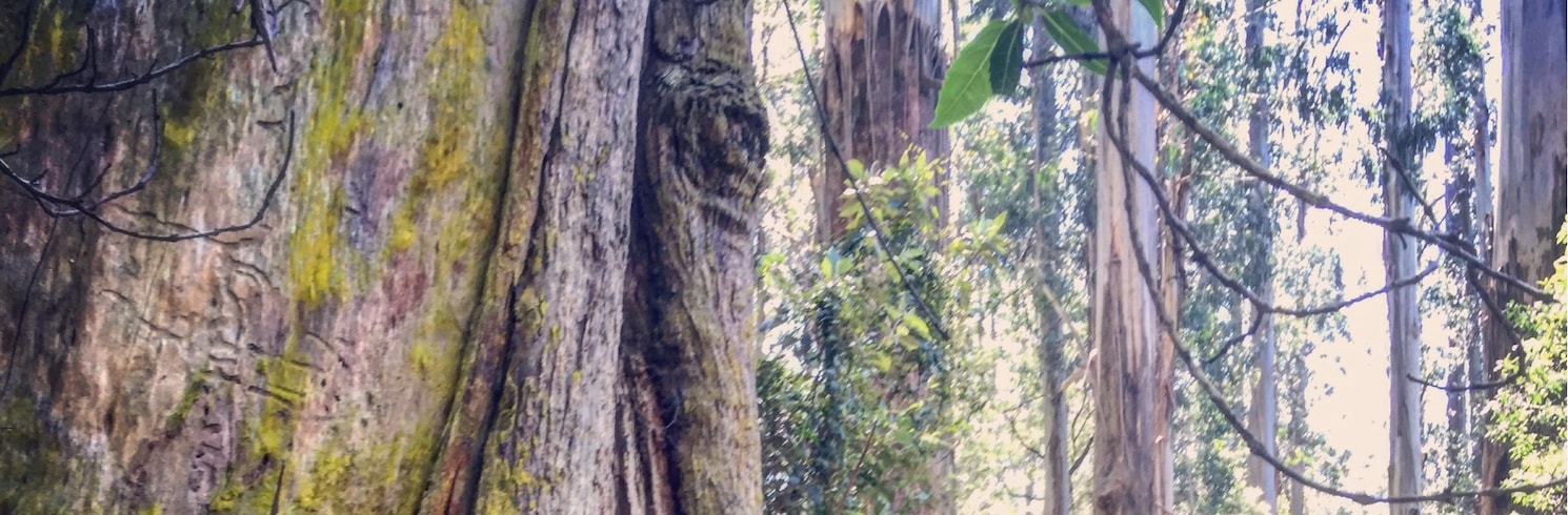 Dandenongs, Victoria, Australia