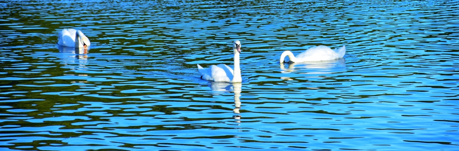 Roundhay, United Kingdom
