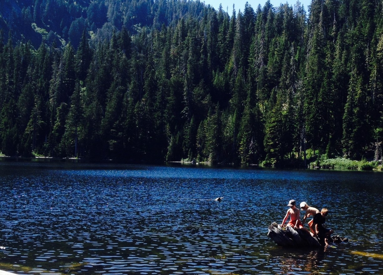 Granite Falls, WA Vacation Rentals house rentals & more Vrbo