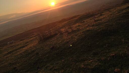 Foto von Stacey Skitt