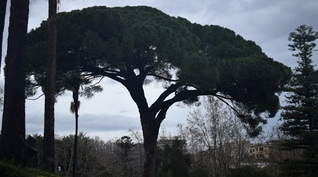 Vườn Bellini, Catania, Sicily, Ý