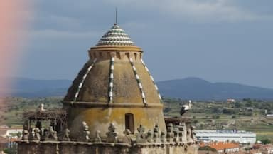 view from alcazaba