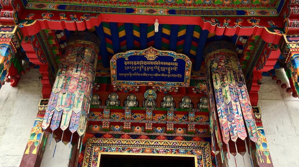 Lincse, Nyingtri, Tibet, Kína