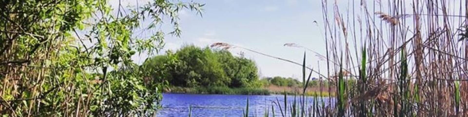 #bucharest #beliveitornot #iubesteromania