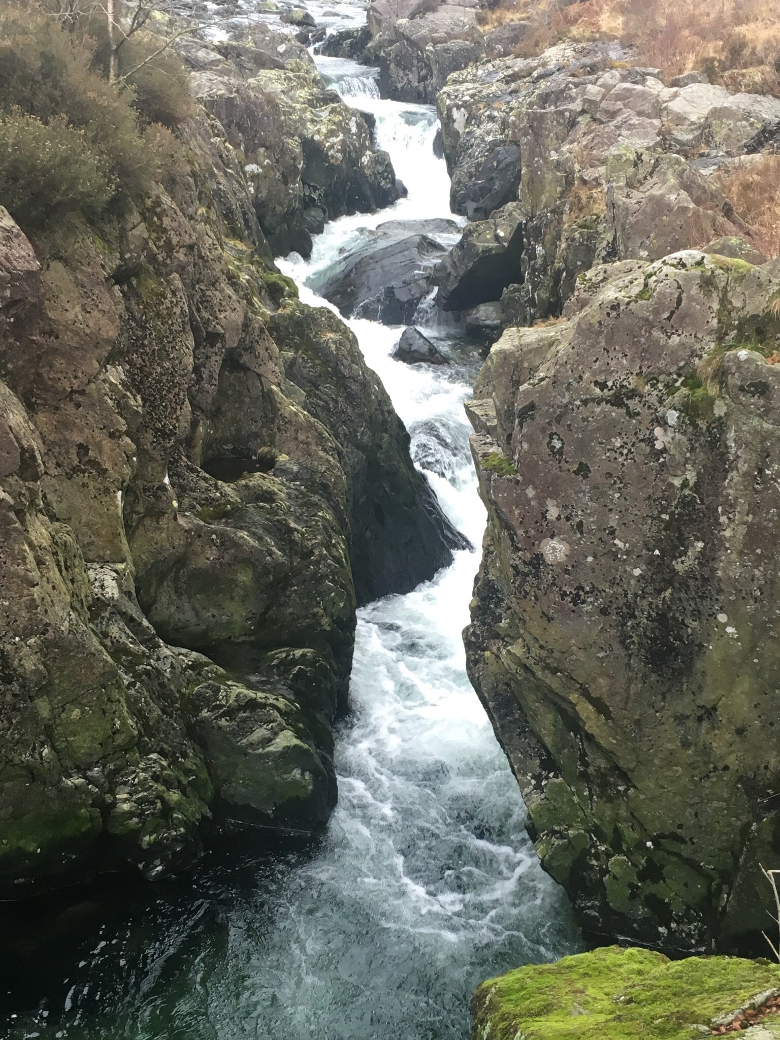 Photo by Joy Mcdonnell