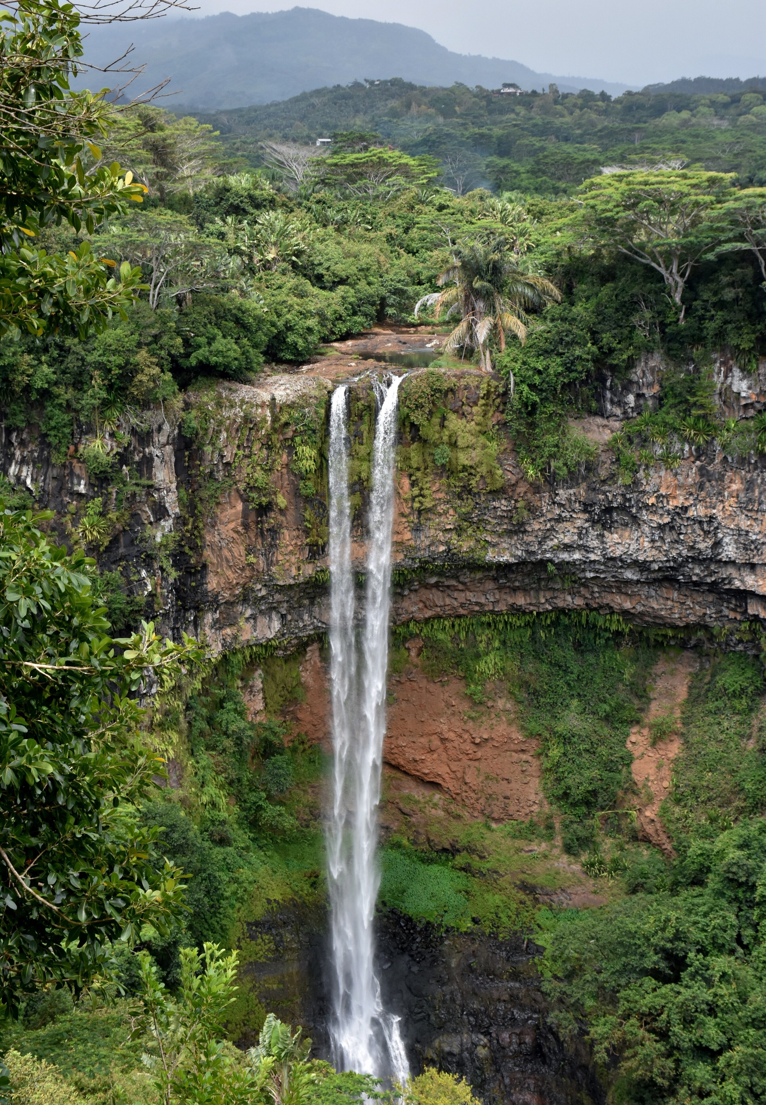 Black River Gorges National Park - Mauritius Attractions