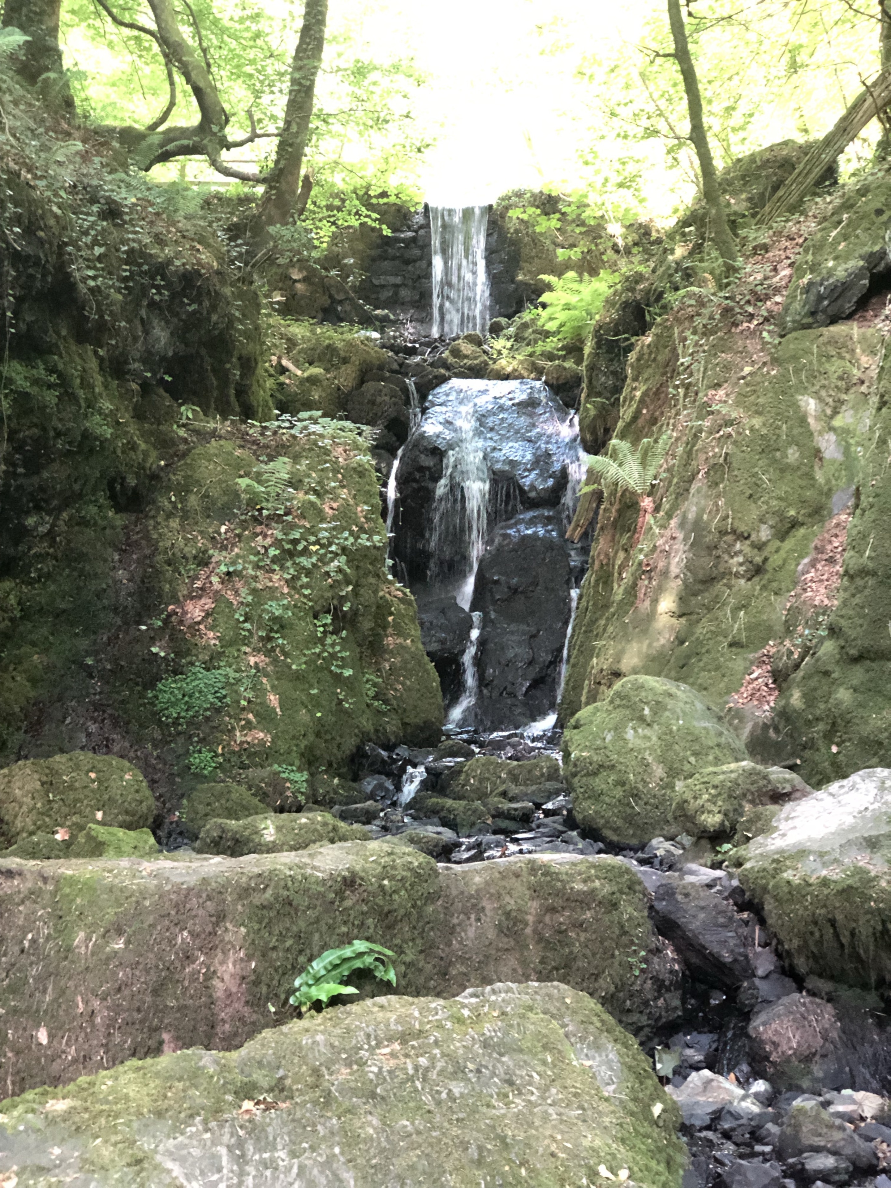 Canonteign Falls- a must visit to this beautiful place.
#exploreEngland
#nature