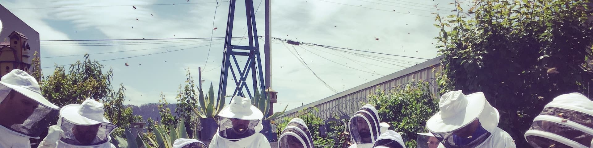 Beekeeping class 🐝