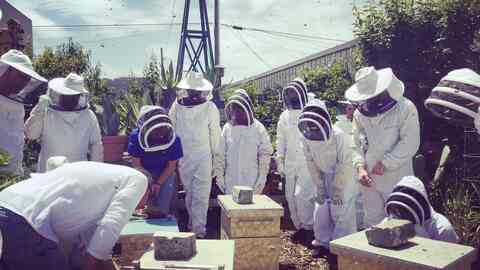サンフランシスコ の格安ホテル 宿泊予約 人気の格安ホテルを簡単予約 多数の宿泊施設のキャンセル無料 ホテルズドットコム