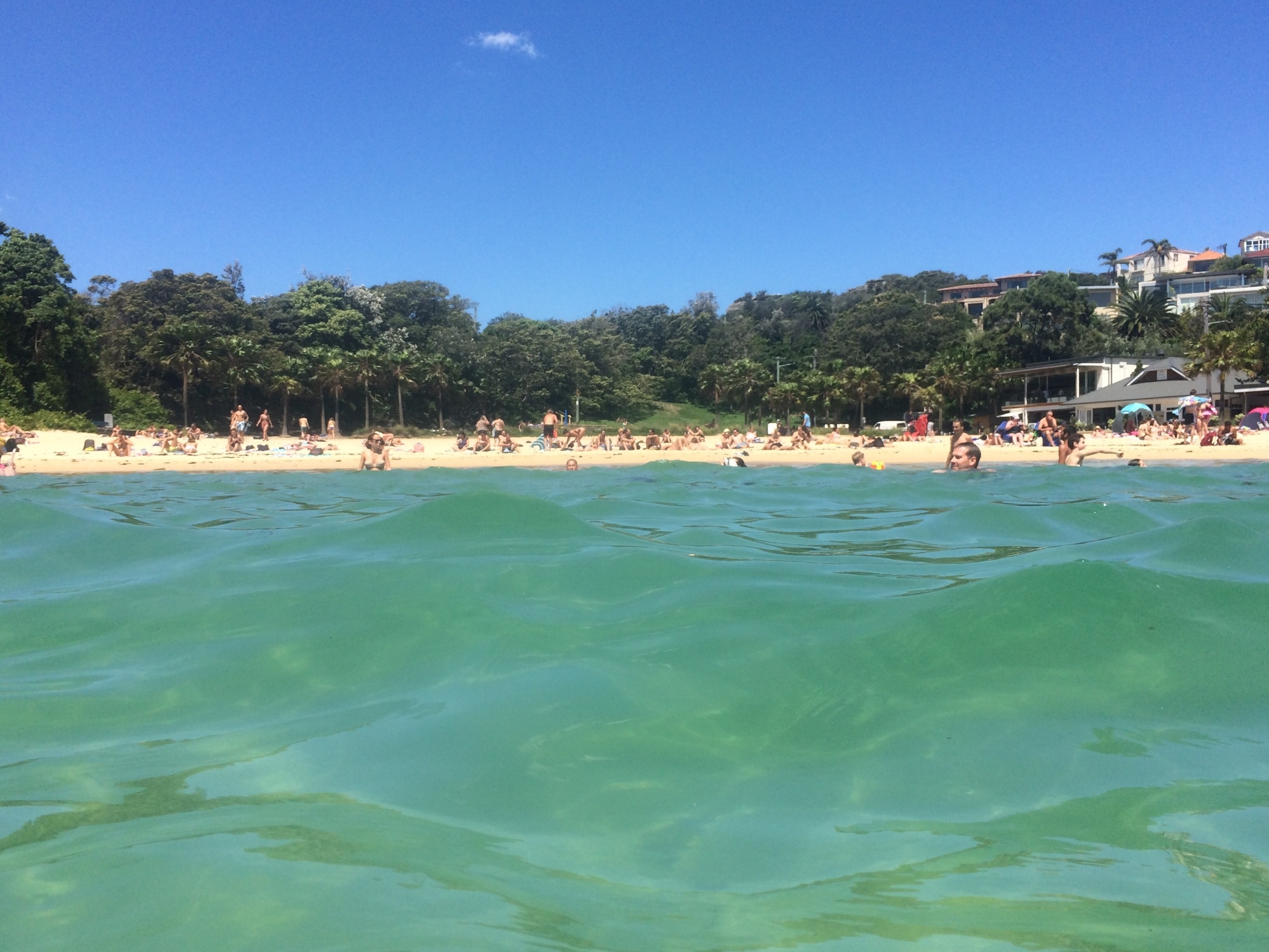 So hot yesterday in Sydney. A perfect little spot for a dip on the northern beaches #sydney #beach