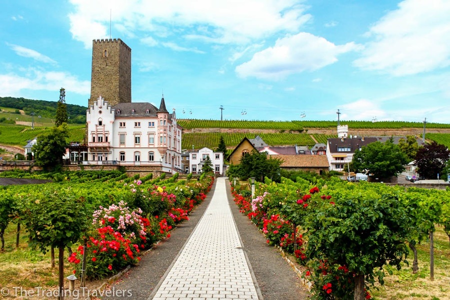 A shot from our day cruise along the UNESCO section of the Rhine River in Germany. From Rudesheim to Koblenz, our jaws were dropping at the spectacular views of historic castles, charming towns, and wine vineyards draping the mountains along the river. This is an experience for the bucket list!
http://thetradingtravelers.com/cruising-the-rhine-river/