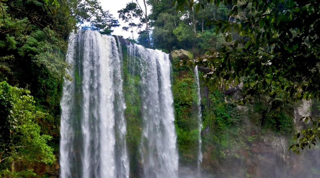 Salto de Agua, Chiapas, Mexico