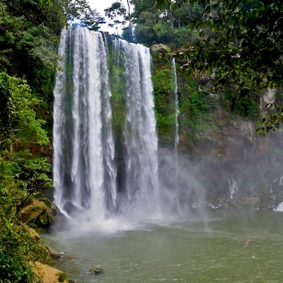 It's well-known in cine-culture as the "Predator" waterfall, but Misol-Ha (it's real name) needs no cultural reference. It is flocked to and admired for its rugged, steamy beauty and the cool, carved rock shelf beneath which visitors can stand and feel the body-numbing force of the water as it thunders down in front of them. The little hike down to the back of the falls is slippery but worth it (wear sturdy shoes!). It's pool is also the perfect place for a quick dip. The eco lodge there offers cabins near the falls as well as a restaurant. Well worth a day trip or a stay. • http://www.misol-ha.com/en/index.html • #Chiapas #Mexico #waterfalls #jungle #cabins #cinetrove #localgem