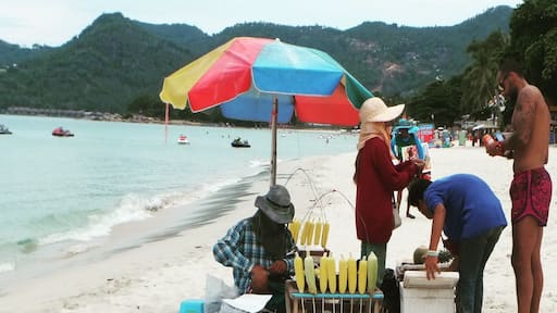 Photo by Paul and Carole