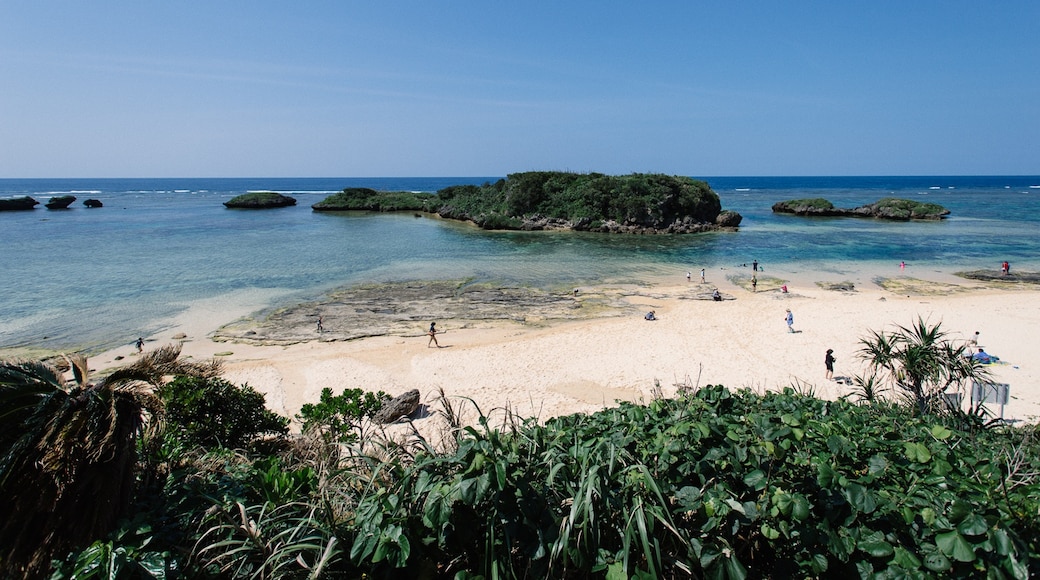 Iriomote, Okinawa (prefektur), Japan