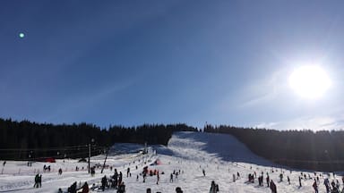 Its a national park in Black Forest near France border in  south of Germany. Skiing and snowboarding are the best activities. You can rent the equipment there and use lift to go to the peak. There are buses stop by here.