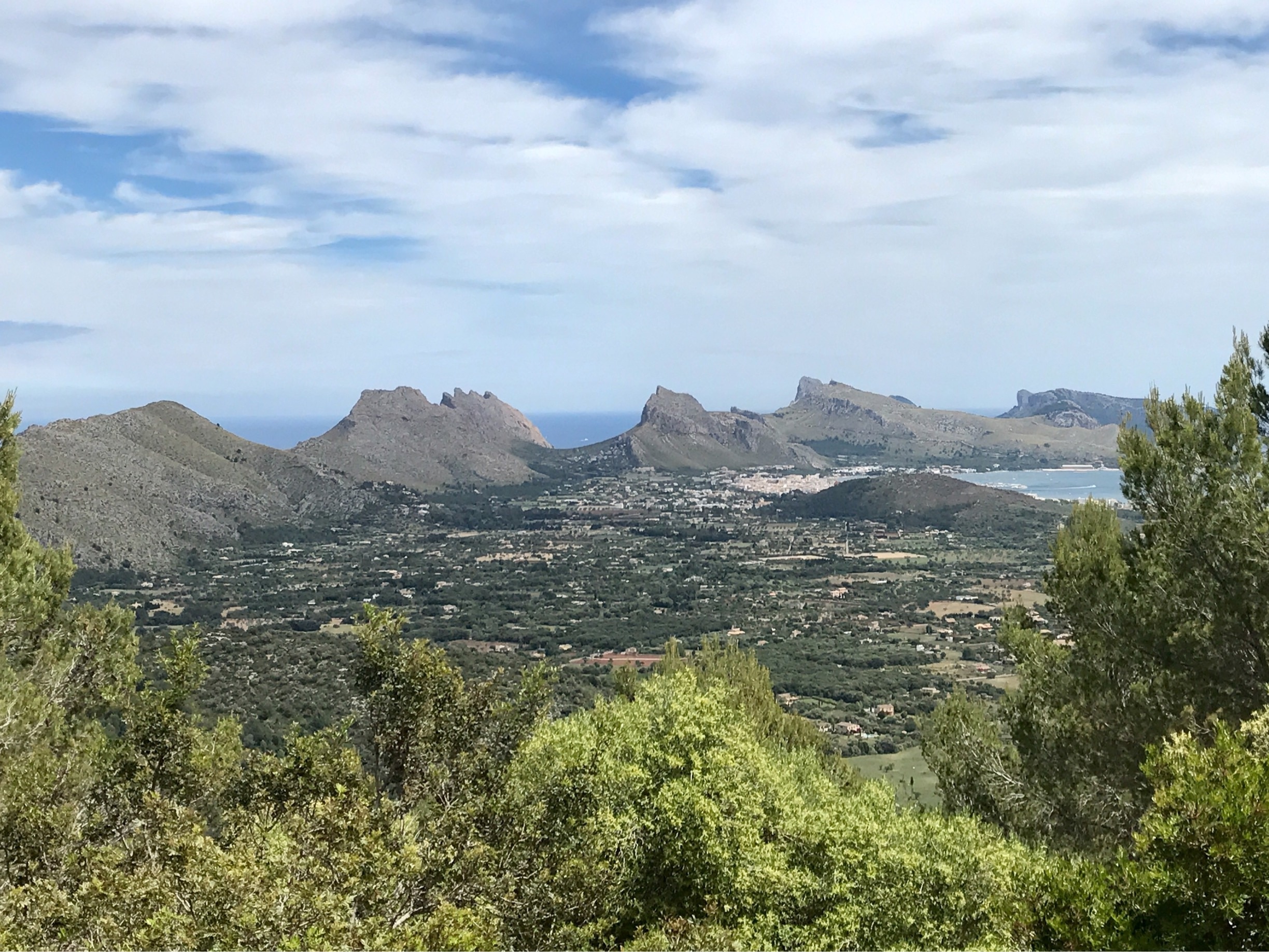 A beautiful fairly gentle climb to the top of Puig St Marie adjacent to Pollensa Old Town offers the most stunning reward of views over towards Puerto Pollensa and the Cap de Formentor! Sensible shoes recommended though as there are cobbles and stone paths. 