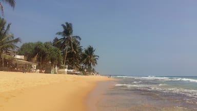 Lazy days at the Narigama beach in Hikkaduwa. Went in March 2016 - perfect weather 👌 #lifeatexpedia 