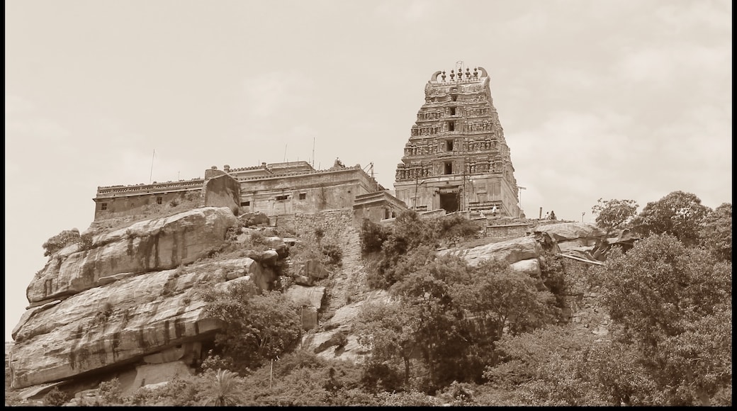 Melukote, Pandavapura, Karnataka, India