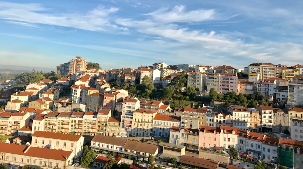 Santa Cruz, Coimbra, Bezirk Coimbra, Portugal