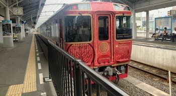 This train is a tourist train of Shikoku Railway.